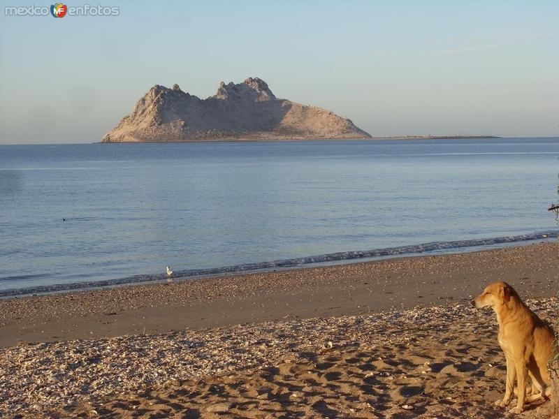 Fotos de Bahía De Kino, Sonora: ALKATRAZ