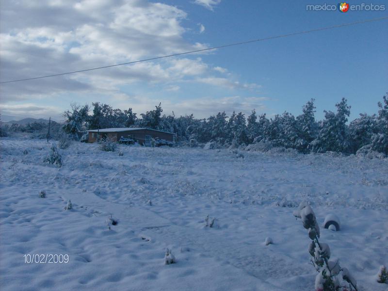 Fotos de Buenaventura, Chihuahua: nevado