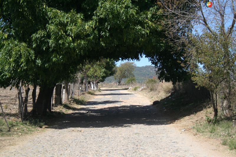 Fotos de Meseta De Juanacatlán, Nayarit: Enmarcando el camino