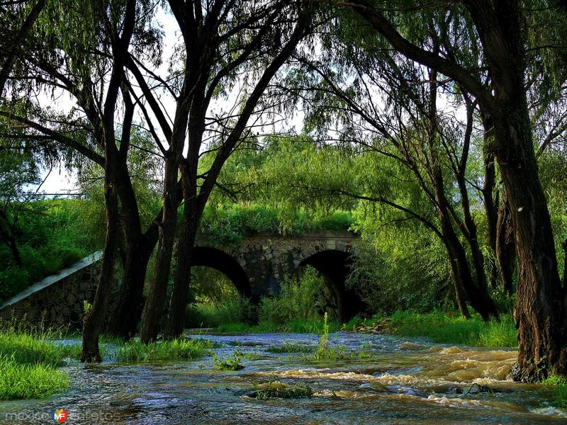 Fotos de Villa Hidalgo, Jalisco: puente