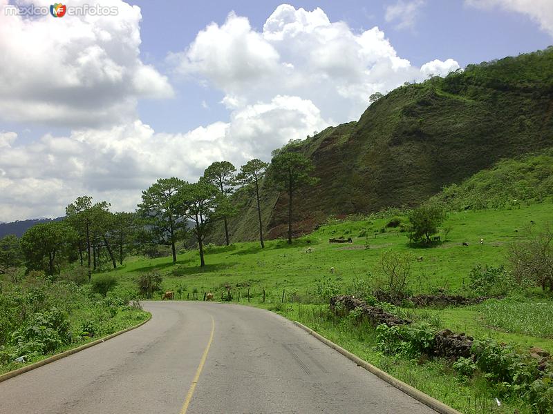 Fotos de Tequepexpan, Nayarit: Pastoreo