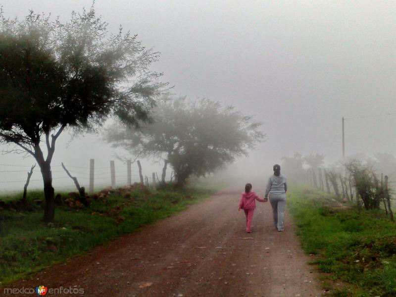 Fotos de Villa Hidalgo, Jalisco: Neblina