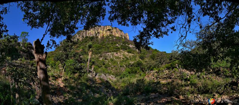 Fotos de Villa Hidalgo, Jalisco: hacia la barrosa