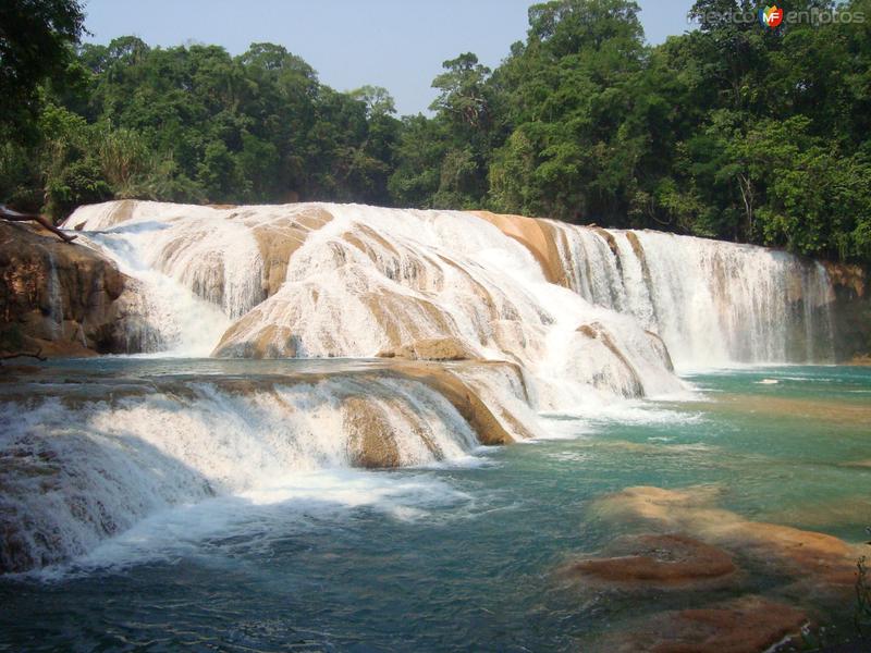 Fotos de Cascadas De Agua Azul, Chiapas: Cascadas de Agua Azul