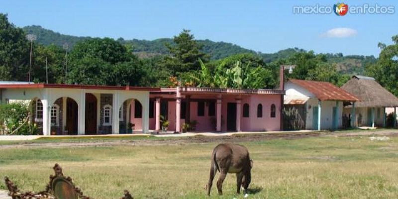 Fotos de Chinampa De Gorostiza, Veracruz: avance en arquitectura