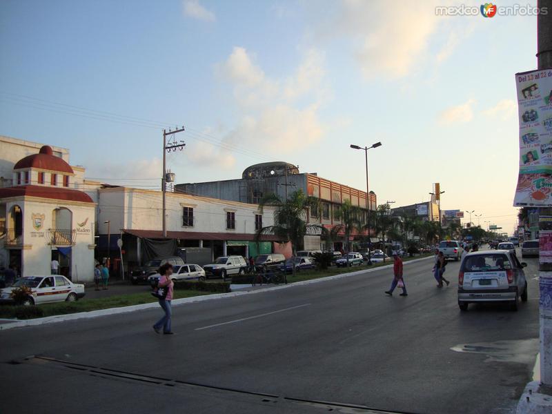 Fotos de Ciudad Madero, Tamaulipas: Avenida Álvaro Obregón