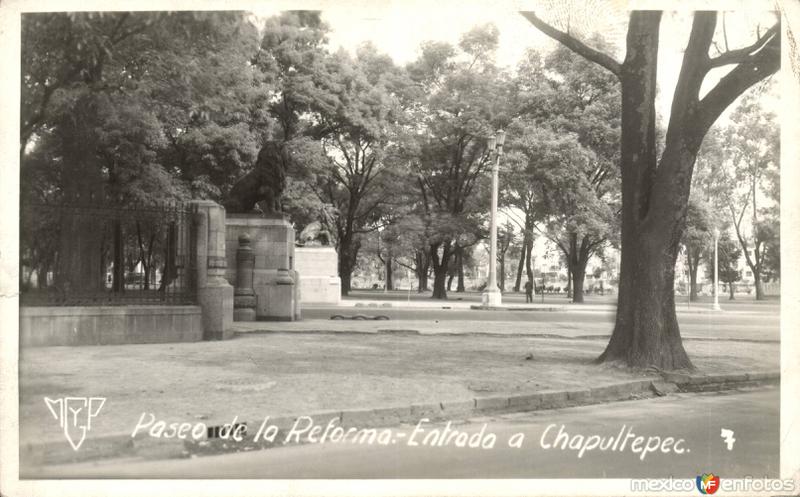 Fotos de Bosque De Chapultepec, Ciudad De México: Chapultepec