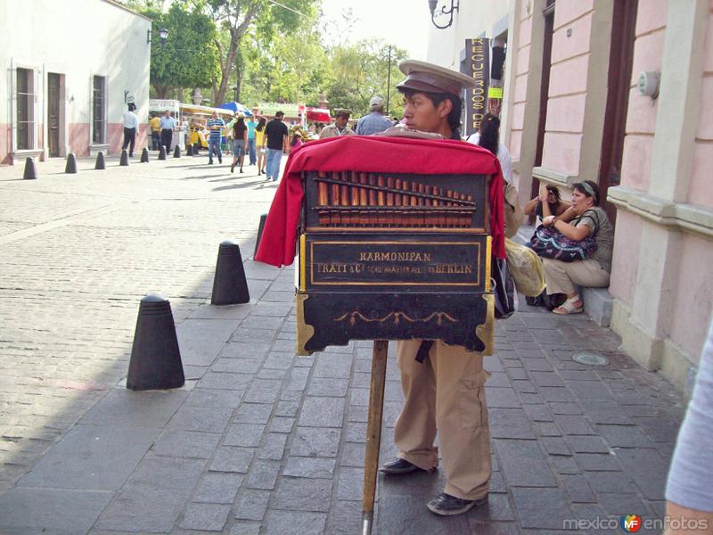 Fotos de Aguascalientes, Aguascalientes: El amigo Organillero