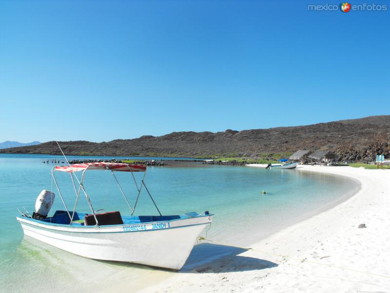 Fotos de Isla Coronado, Baja California Sur: Isla Coronado
