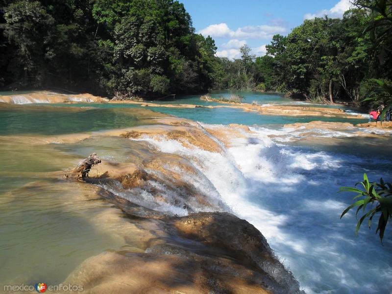 Fotos de Cascadas De Agua Azul, Chiapas: majestuosa cascada