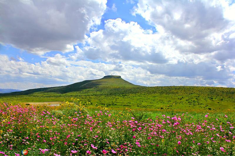 Fotos de Sombrerete, Zacatecas: CERRO DEL SOMBRERETILLO