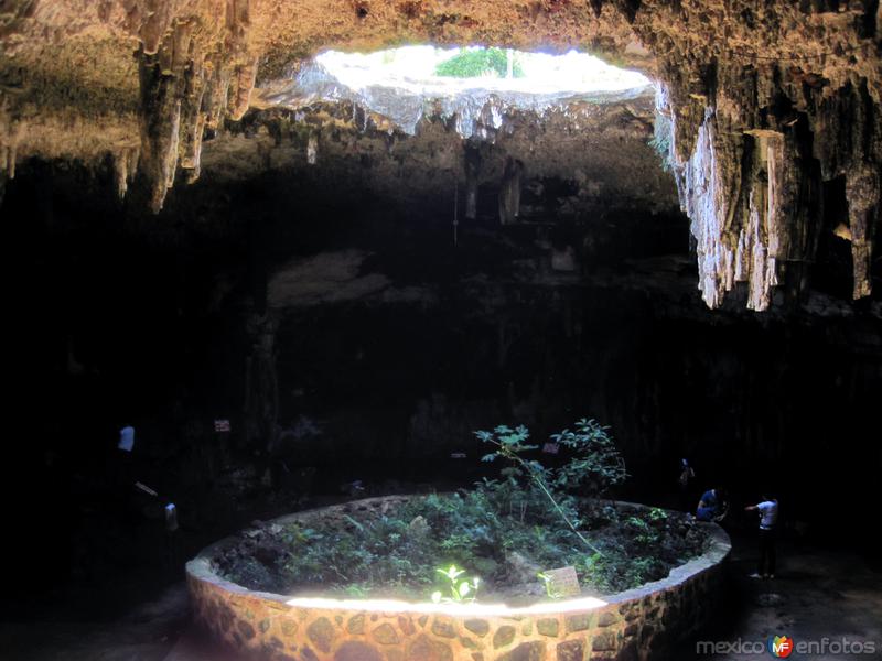 Fotos de Homún, Yucatán: Cenote Tzá Ujún Kat