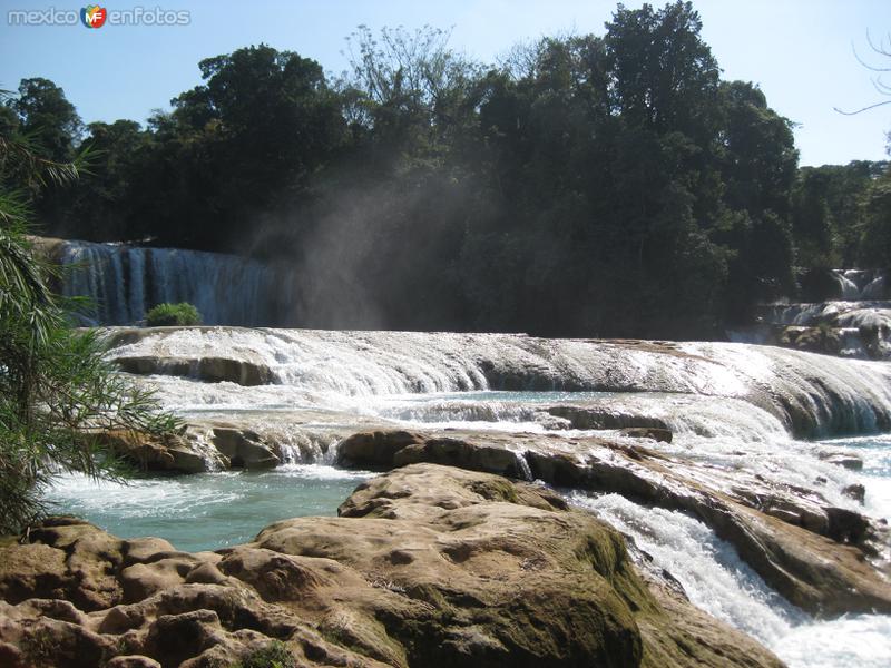 Fotos de Cascadas De Agua Azul, Chiapas: Cascadas de Agua Azul