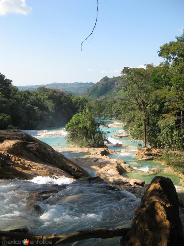 Fotos de Cascadas De Agua Azul, Chiapas: Vista desde el mirador