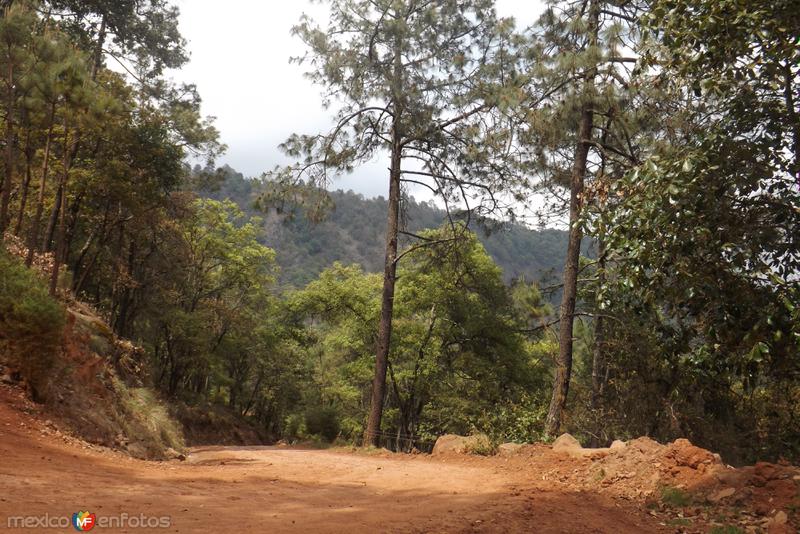 Fotos de Ejido Tulimán, Puebla: El descenso hacia las cascadas de Tulimán. Marzo/2014