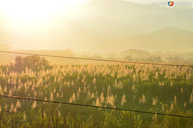 Fotos de Tamazula De Gordiano, Jalisco: amanecer