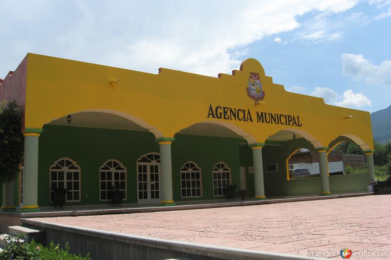 Fotos de Techaluta De Montenegro, Jalisco: Anoca
