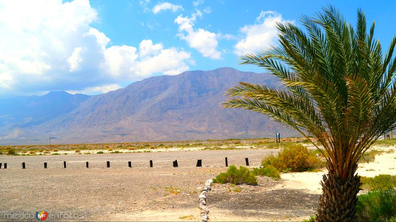 Fotos de Cuatro Ciénegas, Coahuila: POZA AZUL Y CARRANZA