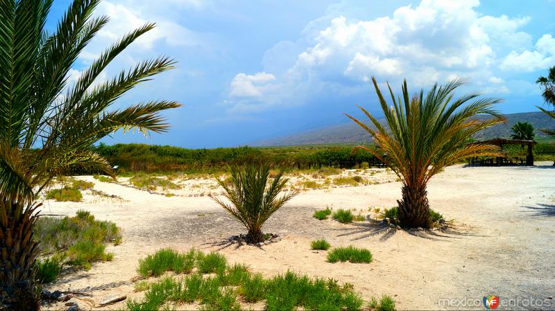 Fotos de Cuatro Ciénegas, Coahuila: POZA AZUL Y CARRANZA