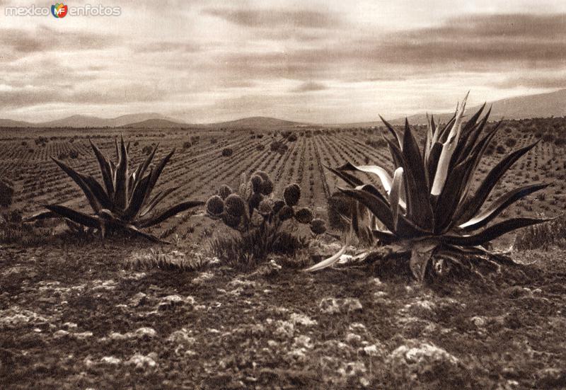 Fotos de Ometusco, México: Alrededores de Ometusco (circa 1920)