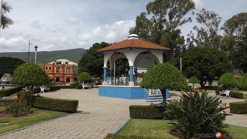 Fotos de Santa María Del Tule, Oaxaca: Kiosco de Santa María del Tule. Julio/2014