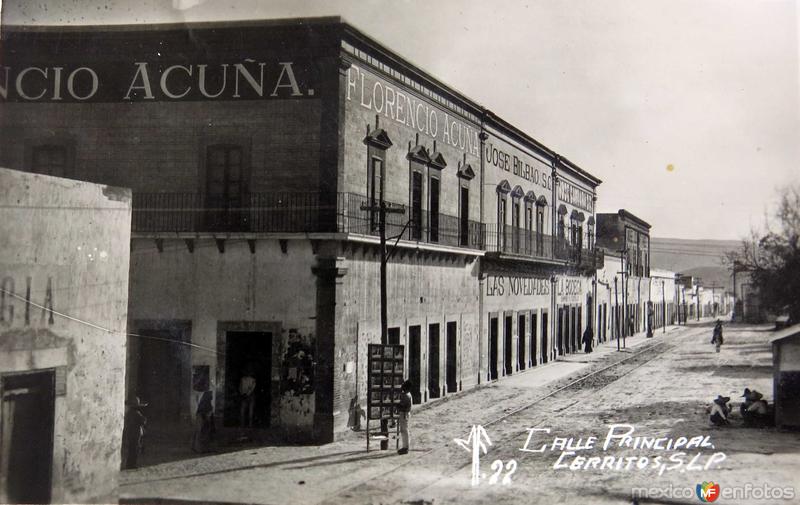 Fotos de Cerritos, San Luis Potosí: CALLE PRINCIPAL PANORAMA