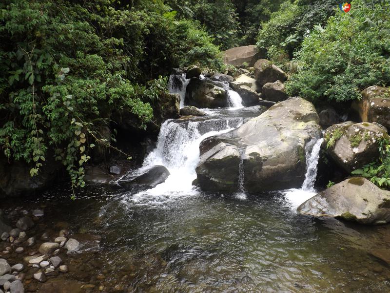 Fotos de El Aguila, Chiapas: Un afluente del Río Coatán. Julio/2015