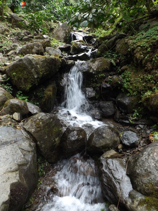Fotos de El Aguila, Chiapas: Riachuelo cerca de la cascada La Sirena. Julio/2015