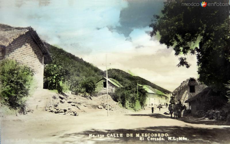 Fotos de El Cercado, Nuevo León: Calle M Escobedo