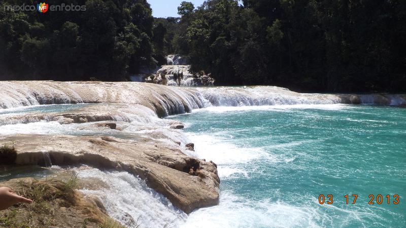 Fotos de Cascadas De Agua Azul, Chiapas: Hermosas cascadas