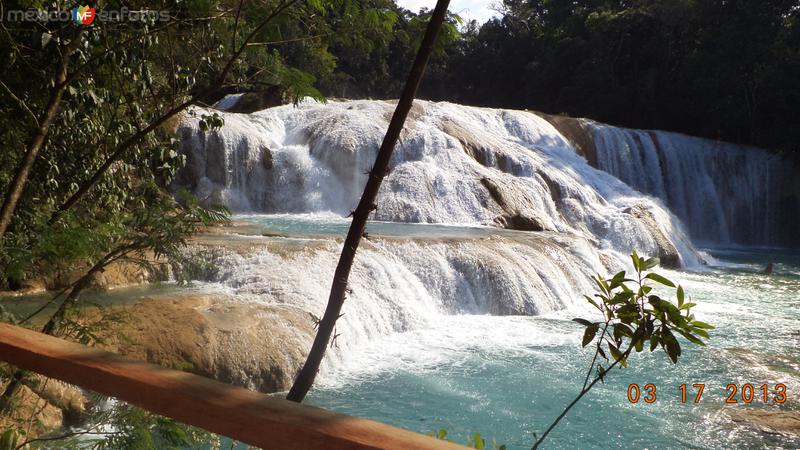 Fotos de Cascadas De Agua Azul, Chiapas: Cascadas de Agua Azul