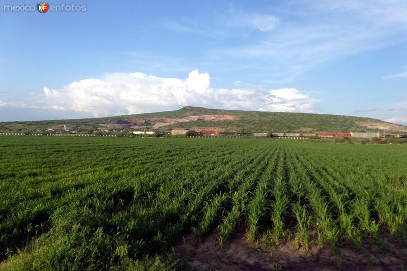 Fotos de Irapuato, Guanajuato: Irapuato