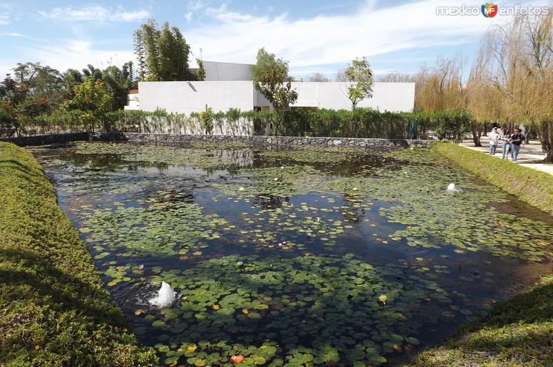 Fotos de Tehuixtla, Morelos: Estanque de los Jardines de México. Noviembre/2016