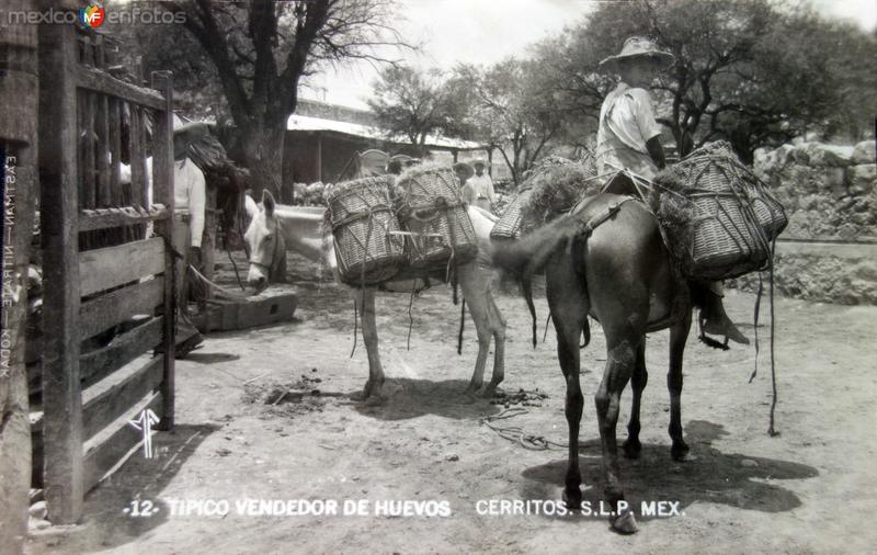 Fotos de Cerritos, San Luis Potosí: Tipos Mexicanos vendedor de huevos.