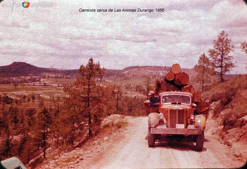 Fotos de Las Animas, Durango: Camino de Las Animas Durango 1956