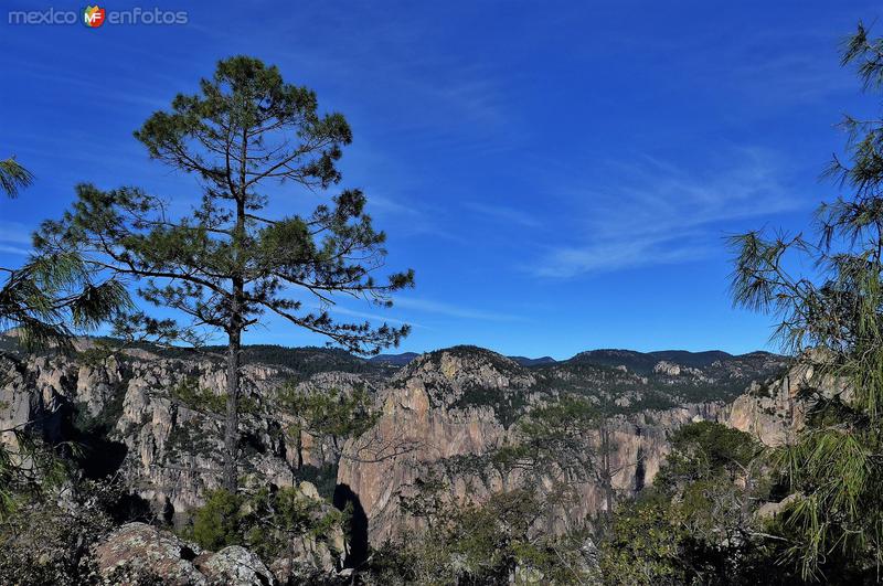 Fotos de Ocampo, Chihuahua: Cañon de Candameña