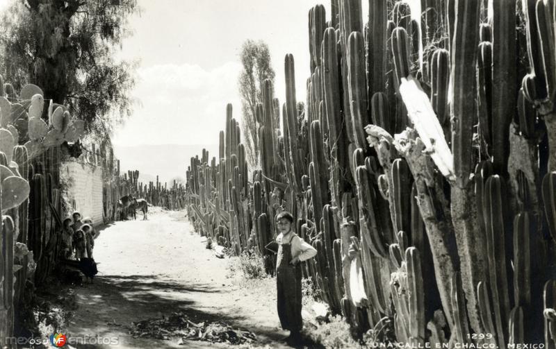 Fotos de México Fotos de México