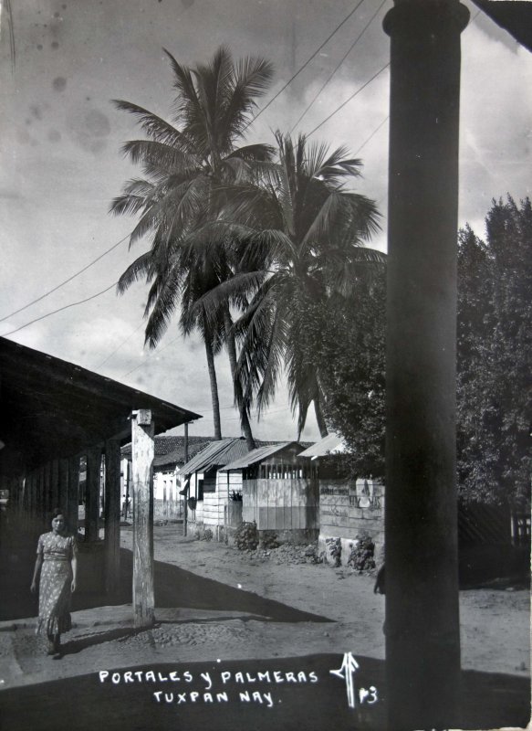 Fotos de Tuxpan, Nayarit: Portales y palmeras.