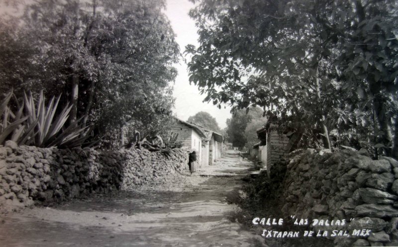 Fotos de Ixtapan De La Sal, México: Calle Las Dalias ( Circulada el 16 de Noviembre de 1956 ).