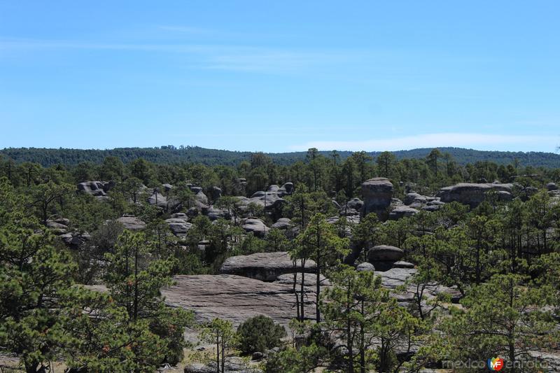 Fotos de Pueblo Nuevo, Durango: MEXIQUILLO