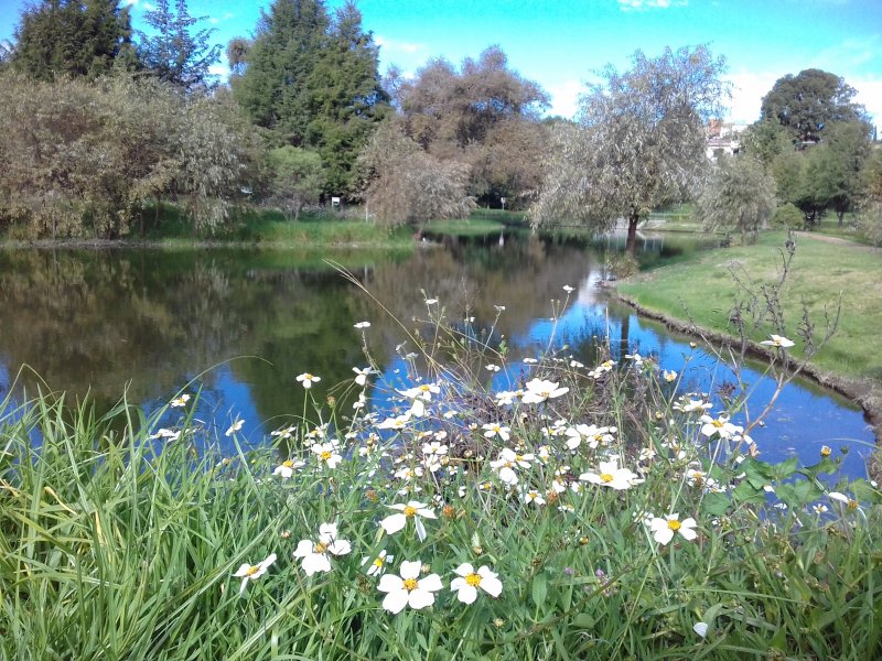 Fotos de Apetatitlán, Tlaxcala: Parque Ecológico 