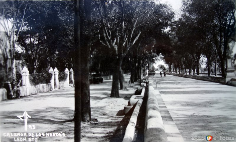 Fotos de León, Guanajuato: Calzada de Los Heroes.