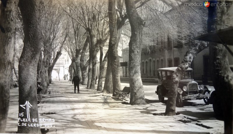 Fotos de Ciudad Lerdo, Durango: La Plaza de Armas.