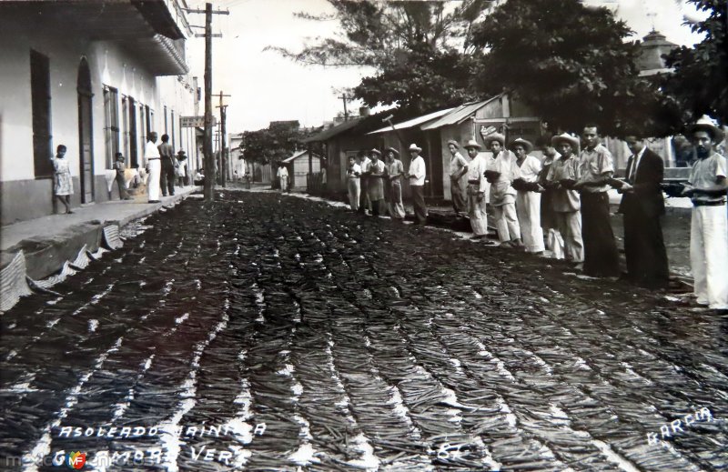 Pictures of Gutiérrez Zamora, Veracruz: Asoleando La Vainilla.