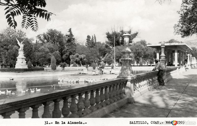 Fotos de Saltillo, Coahuila: Alameda de Saltillo