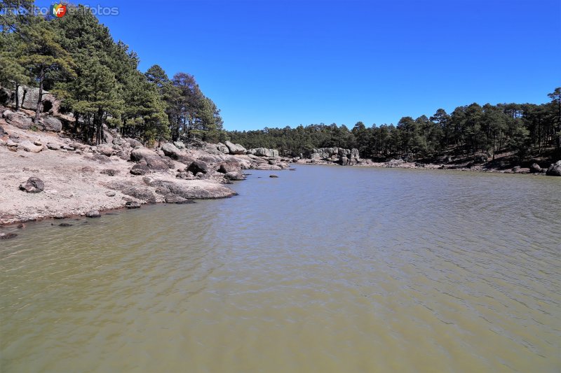Fotos de San Ignacio, Chihuahua: Lago Arareko