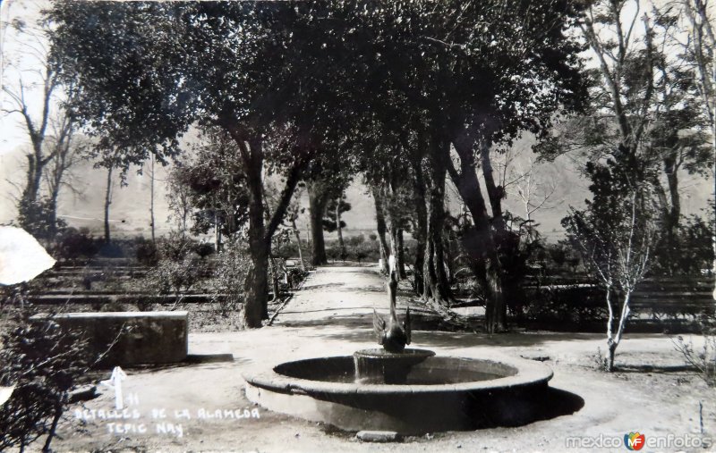 Fotos de Tepic, Nayarit: Un detalle de la Alameda ( Circulada el 28 de Junio de 1940 ).