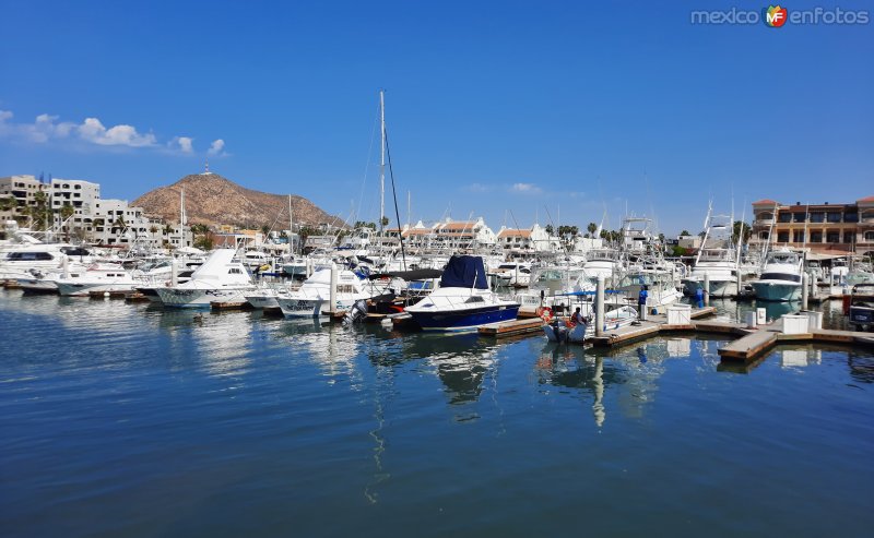 Fotos de Cabo San Lucas, Baja California Sur: Marina de Cabo San Lucas