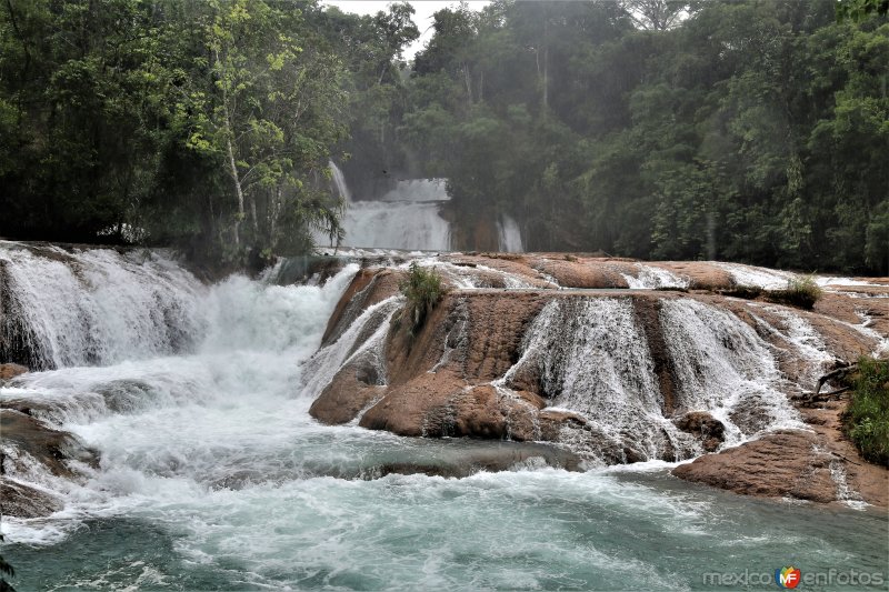 Fotos de Cascadas De Agua Azul, Chiapas: Cascadas de Agua Azul
