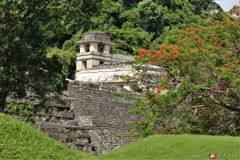 Fotos de Palenque, Chiapas: Vista parcial de El Palacio